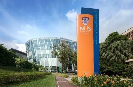 新加坡国立大学数据分析和数据可视化专业证书课程学什么?