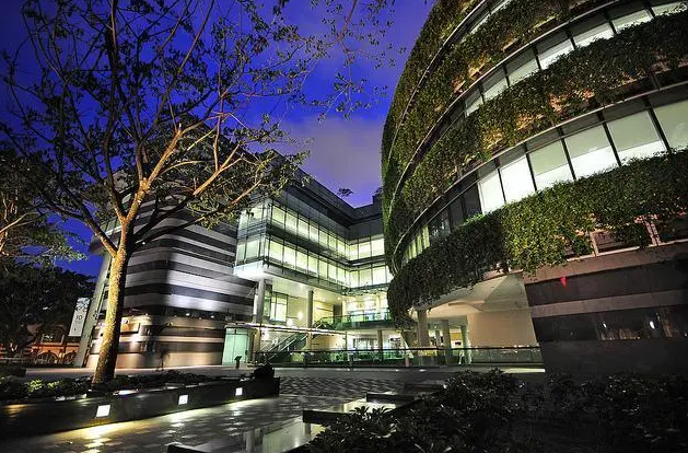 新加坡管理学院2023年会计本科预科课程介绍