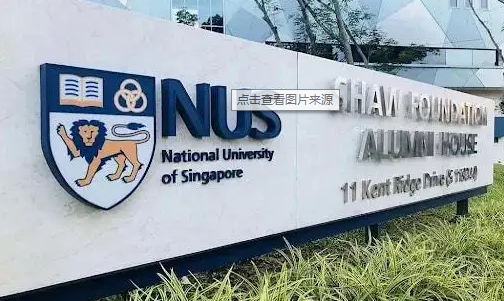 新加坡国立大学课程辅导