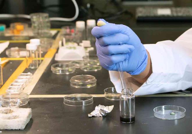 伯明翰大学化学工程研究生课程设置概要