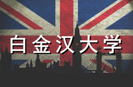 2024年白金汉大学入学要求！