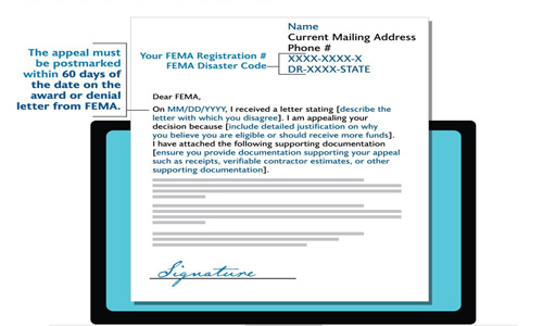 英国appeal成功率高不高？