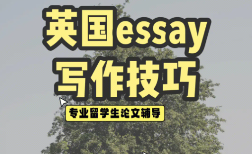 essay写作中有哪些容易犯错的点?
