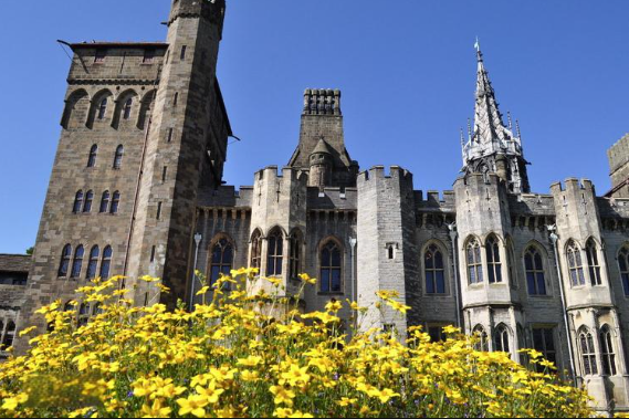 卡迪夫大学金融经济学Financial Economics课程