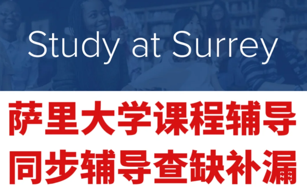 萨里大学政治学大一课程所学知识汇总！