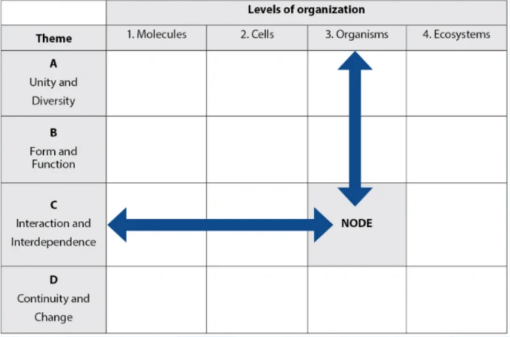 IBDP课程辅导如何选择好的机构？