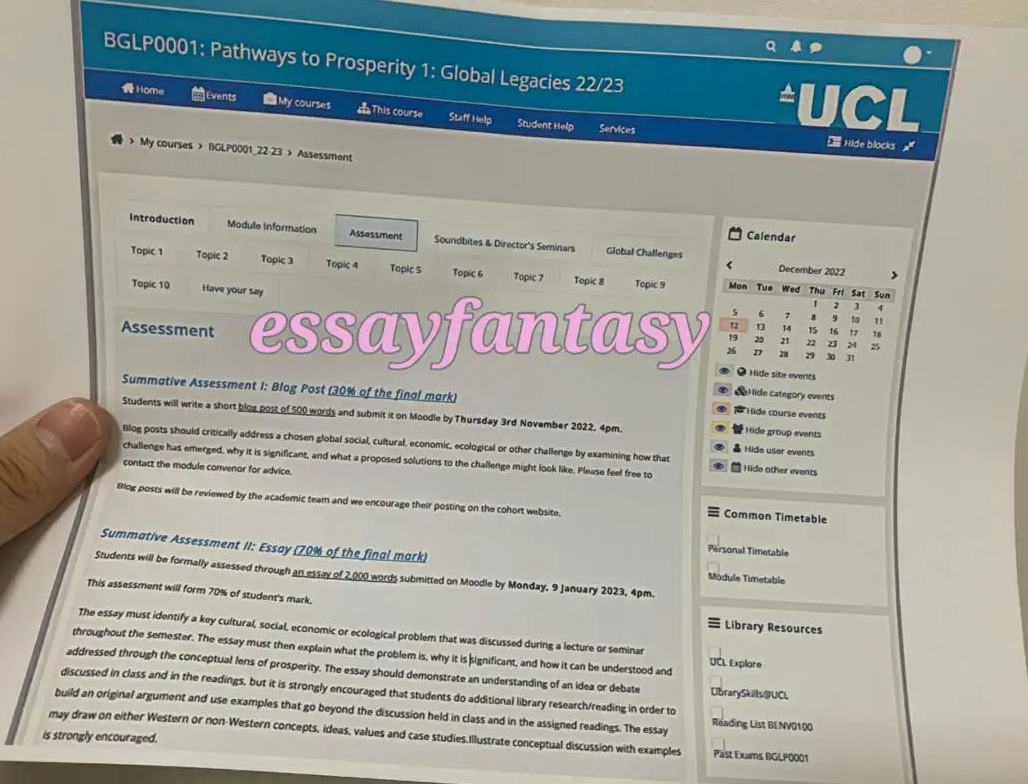 UCL论文辅导一对一怎么选择？