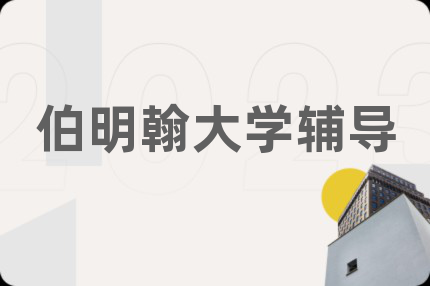 伯明翰大学地理Msci(Hons)有那些课程？