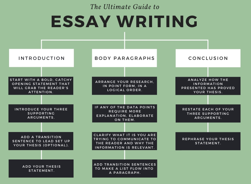 布里斯托大学心理学essay要求是什么？怎么写？