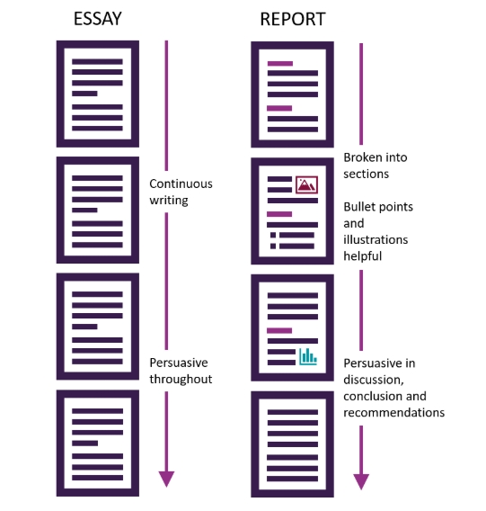 英国学术作业指南：essay和report的区别是什么？