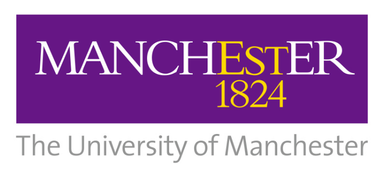 曼彻斯特大学论文辅导线上机构有哪些？