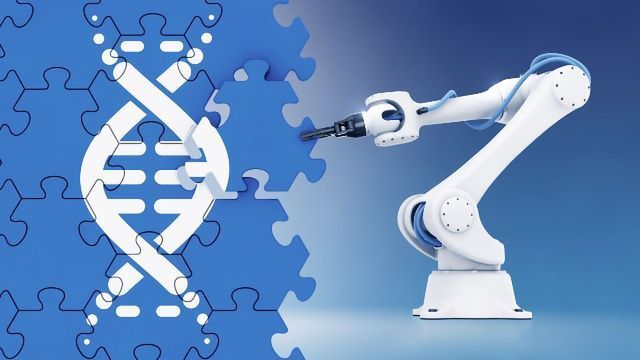 英国本科生物工程专业概述及问题解析