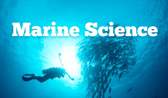 英国本科海洋科学专业课程设置及问题