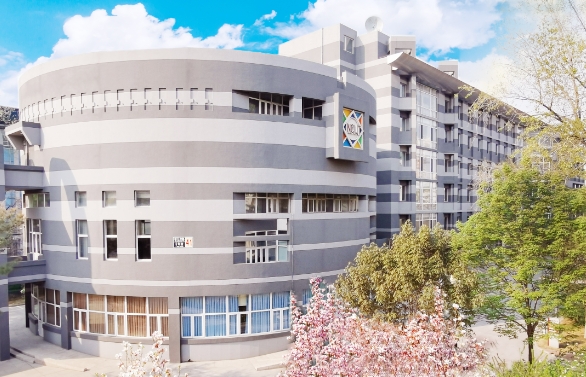 布鲁内尔大学学习起来难不难？(布鲁内尔大学算几流)