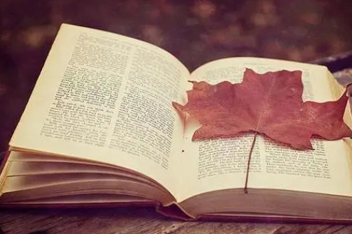 alevel Chinese课程难题如何应对？课程辅导助你轻松突破！