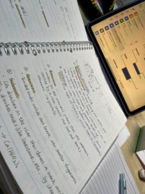 A-Level地理课程有难题，能找辅导老师吗？