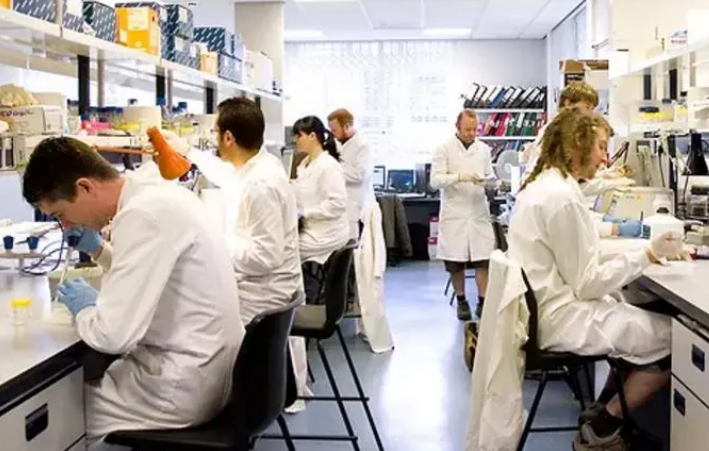 英国物理学专业辅导作业哪个机构好些呢?