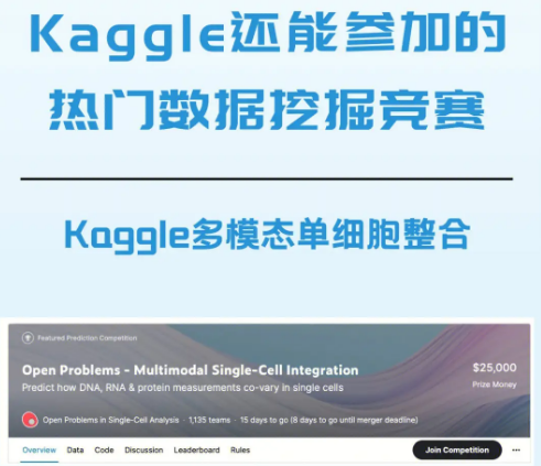 Kaggle大数据竞赛课程很难？留学辅导必不可少！