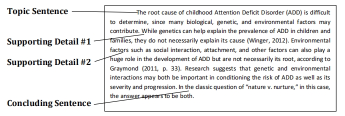 谢菲尔德大学论文essay万能写作框架