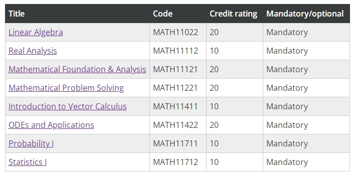 曼彻斯特大学数学统计课程设置