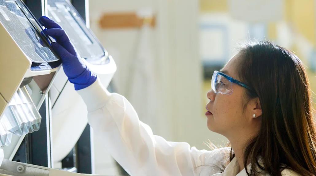 曼大预科辅导｜曼大生物科学本科预科课程概述