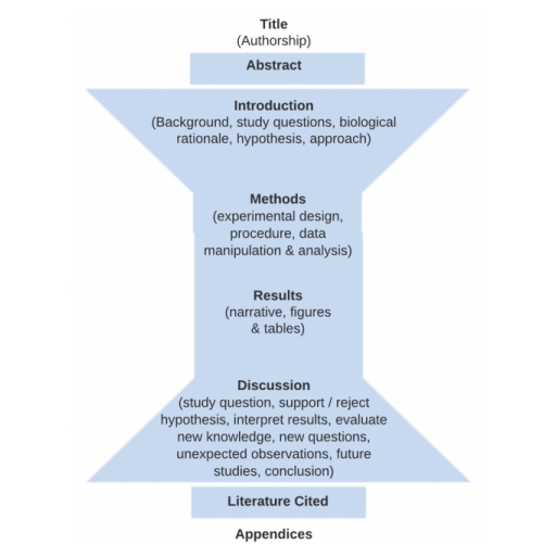 海外数学专业毕业论文辅导｜高分论文结构指南