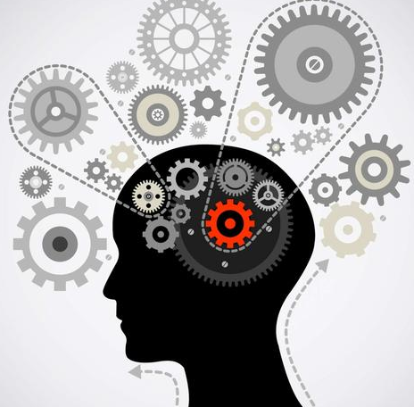 cat4录取分数是多少?评分介绍