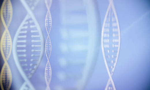 AQA生物课程补习：A-level生物复习要点