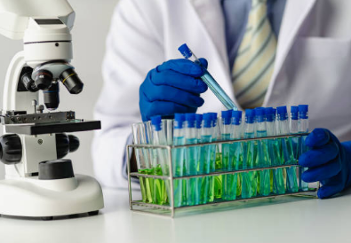 ib生物课程内容和难度分析：选SL还是HL?