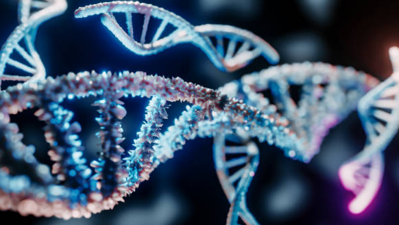 igcse科学核心学习内容解析