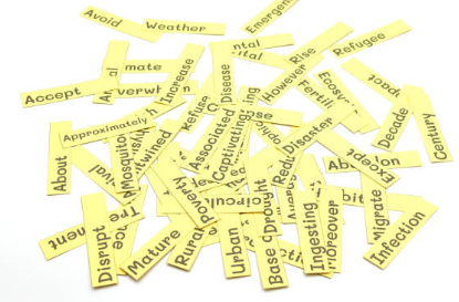 雅思词汇分享：环境问题重要词汇使用方法