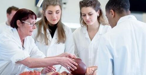 UCAT满分多少?怎么从模拟考试中计算UCAT分数?