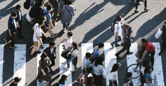 英国约克大学社会学大一需要预习哪些课程？