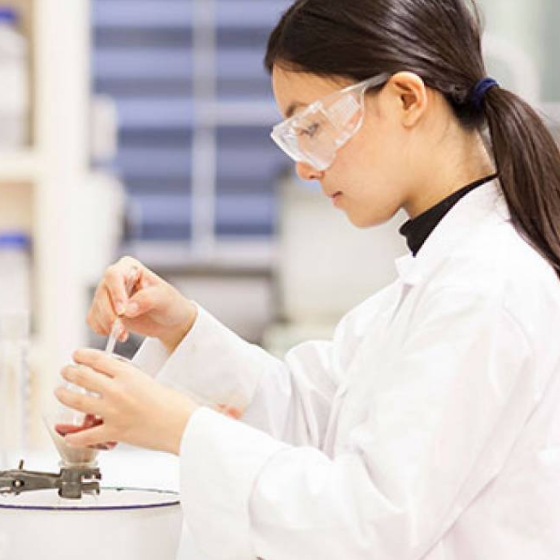 ucl大学nature sciences课程预习