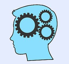 AS level心理学核心内容总结