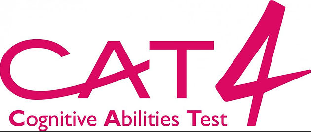 CAT4考试：五年级考试例题和答案讲解