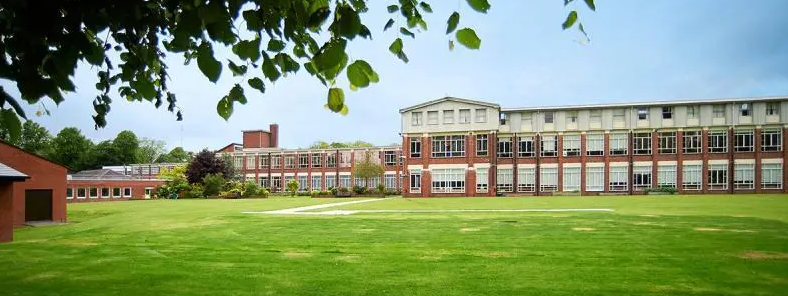 IB MYP六年级数学学什么?