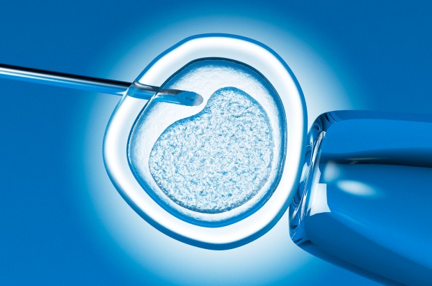 英国边山大学Advanced Fertility Practice高级生育实践辅导