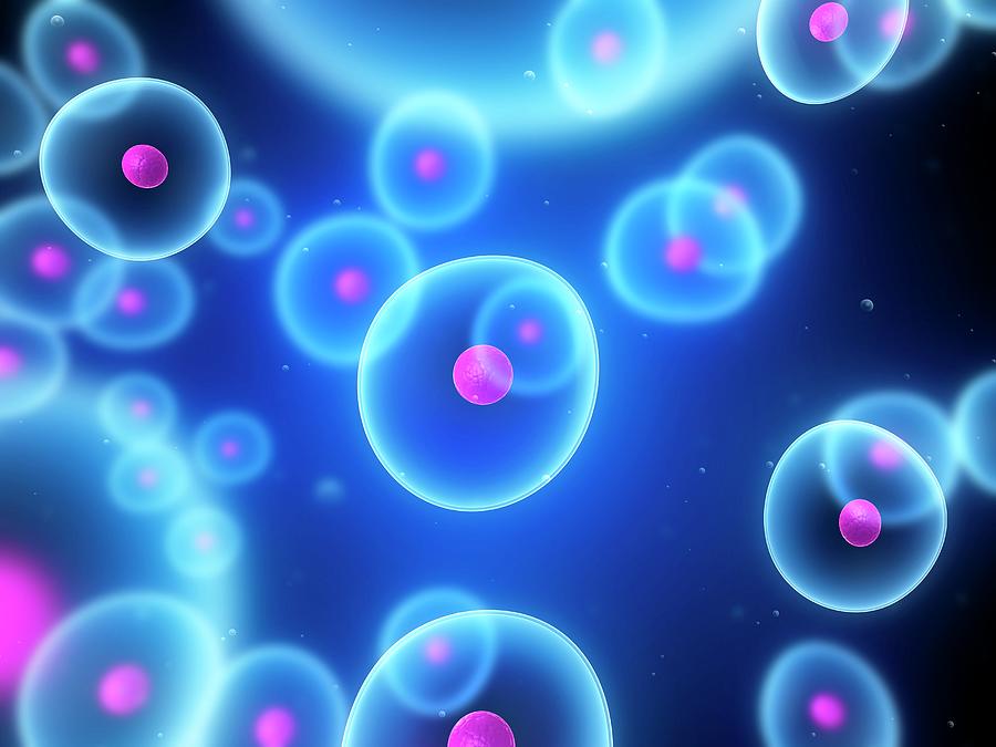 英国斯特拉思克莱德大学Biochemistry & Immunology生物化学和免疫学辅导
