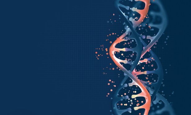 英国牛津布鲁克斯大学Biological Sciences生物科学辅导