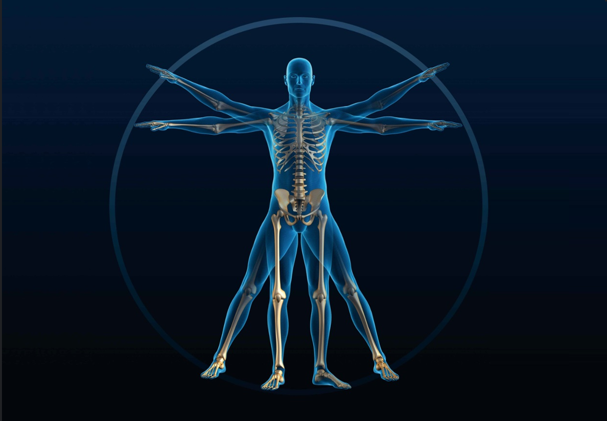 英国邓迪大学Anatomical Sciences BSc解剖科学辅导