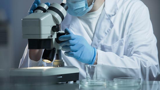 英国伦敦大学圣乔治学院Biomedical Science BSc生物医学科学辅导
