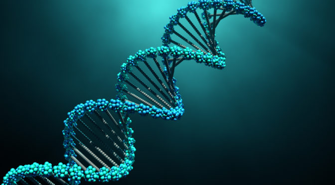 英国伦敦大学国王学院Biochemistry BSc生物化学辅导