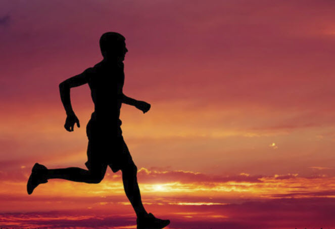 英国杜伦大学Sport, Exercise and Physical Activity体育，运动和身体活动辅导