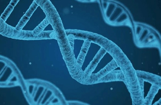 英国埃塞克斯大学BSc Biochemistry生物化学辅导