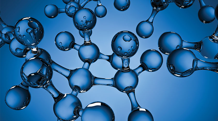 英国杜伦大学Biological Sciences生物科学辅导