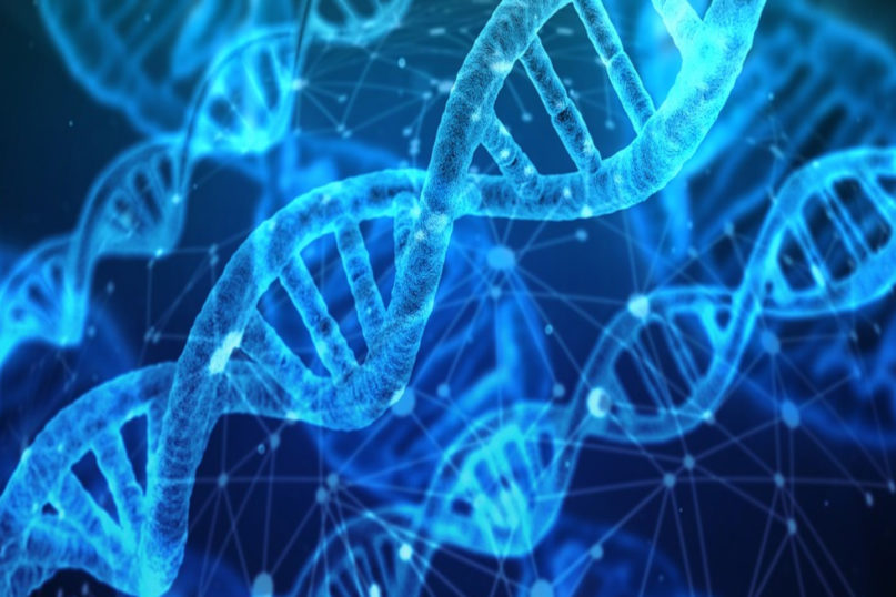 英国埃塞克斯大学BSc Biological Sciences生物科学辅导