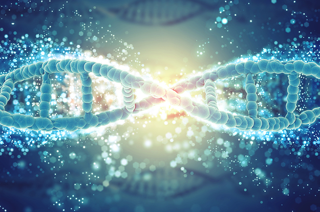 英国伦敦玛丽女王大学Biochemistry生物化学辅导