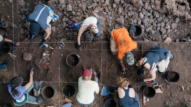 英国伦敦政治经济学院BA Anthropology and Law人类学和法律辅导