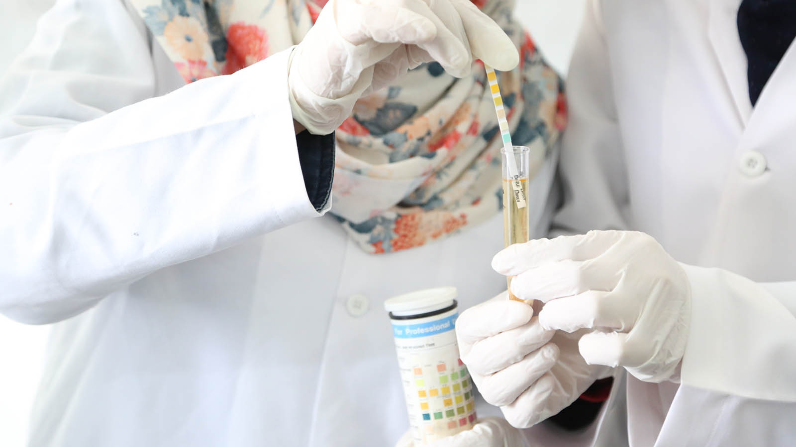 伦敦大学学院Applied Medical Sciences BSc应用医学科学辅导
